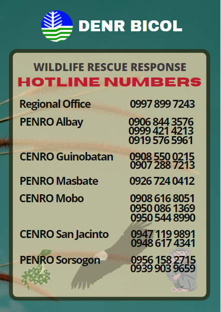 Hotline-Wildlife1
